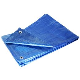 Blue 15 x 30 Tarp